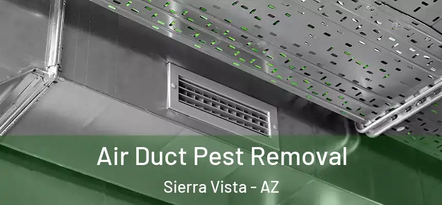  Air Duct Pest Removal Sierra Vista - AZ
