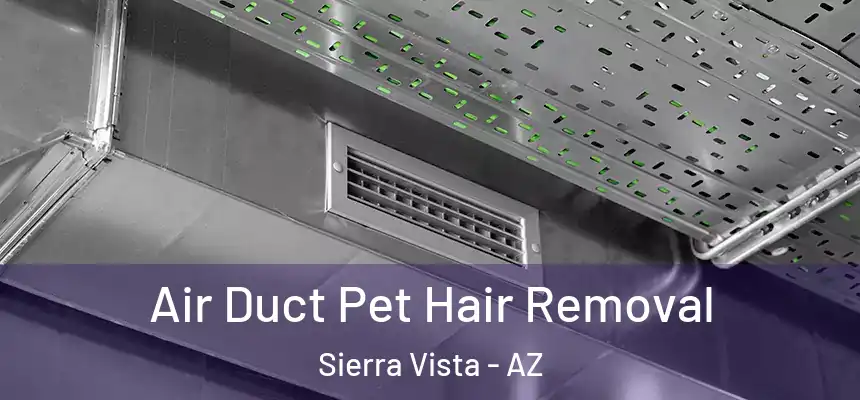  Air Duct Pet Hair Removal Sierra Vista - AZ