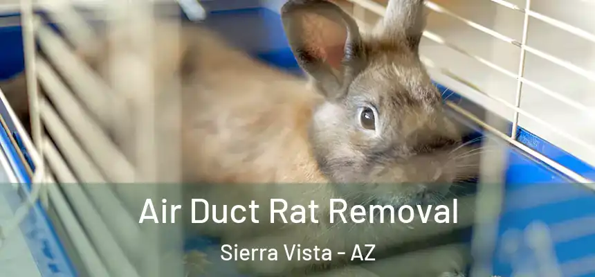  Air Duct Rat Removal Sierra Vista - AZ
