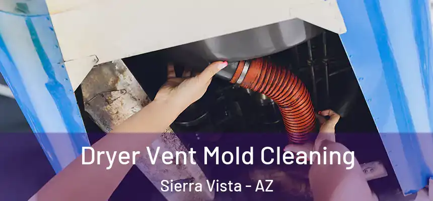  Dryer Vent Mold Cleaning Sierra Vista - AZ