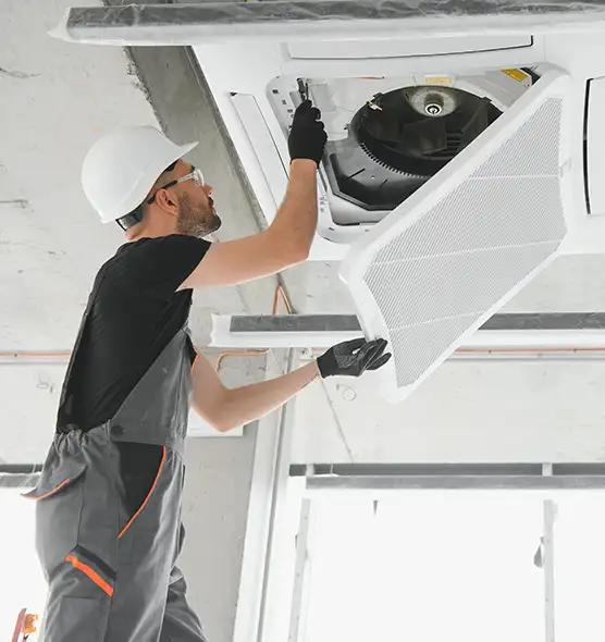 About Air Duct Rodent Removal in Sierra Vista, AZ