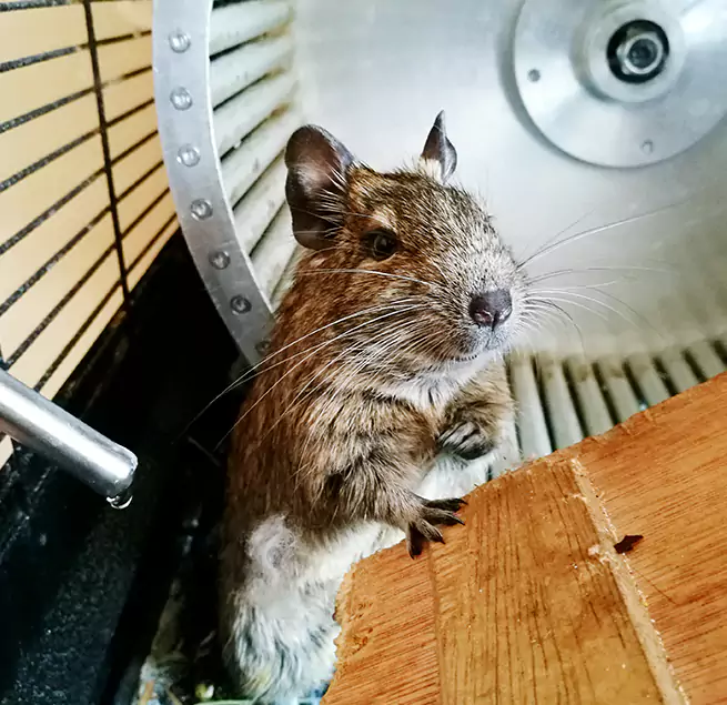 Why Homeowners & Businesses Trust Us Sierra Vista, AZ