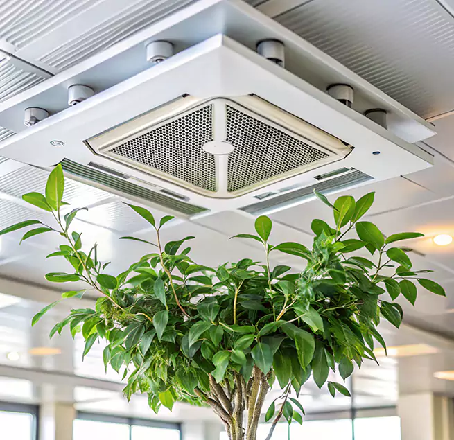 Why Homeowners & Businesses Trust Us in Sierra Vista, AZ?