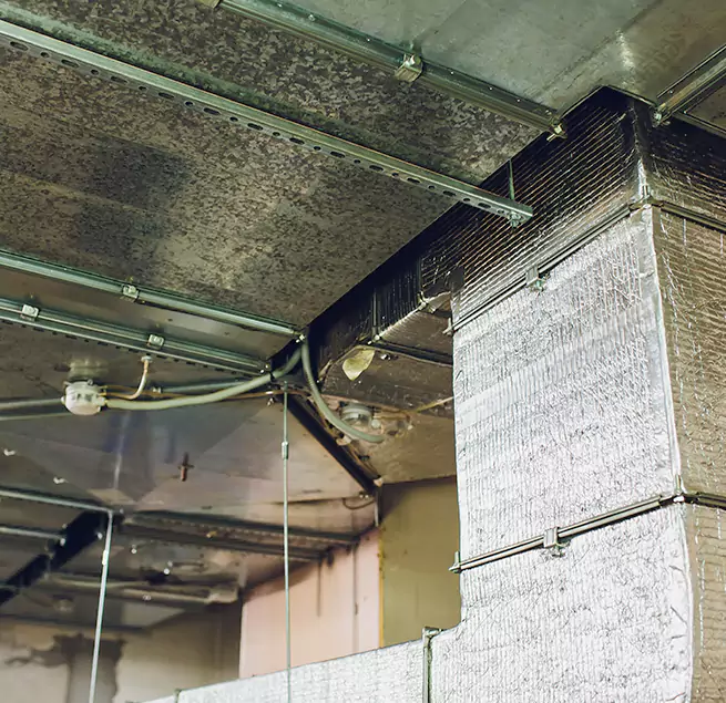 Why Homeowners & Businesses Trust Us in Sierra Vista, AZ?